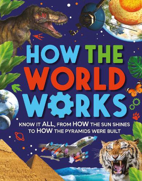HOW THE WORLD WORKS HB