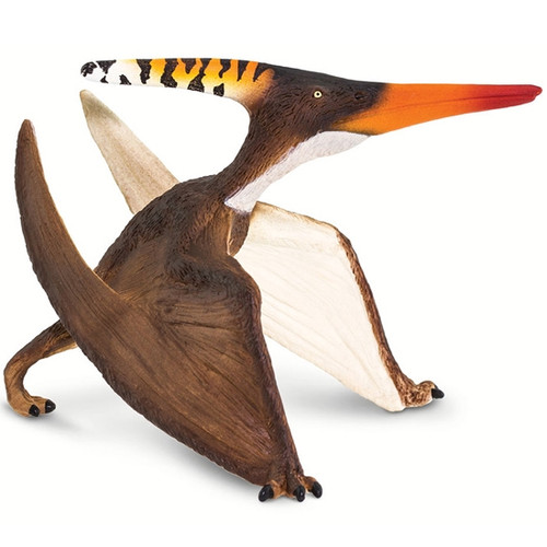 PTERANODON W1