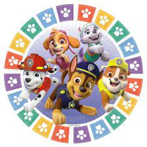 PAW PATROL DINNER PLATES