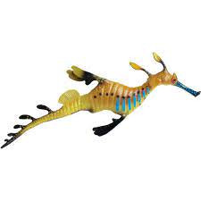 WEEDY SEADRAGON