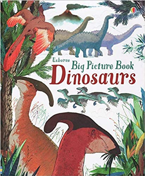 BIG PICTURE BOOK DINOSAURS HB