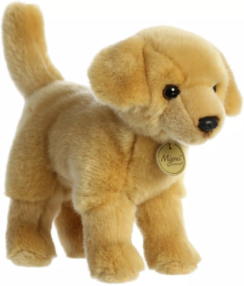 YELLOW LABRADOR
