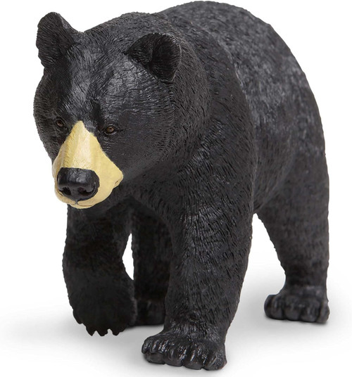 BLACK BEAR W2