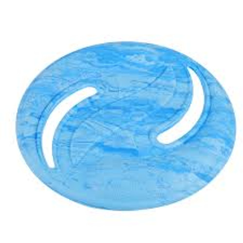OUTDOOR FRISBEE