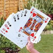 BIG PLAYING CARD