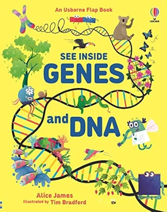 SEE INSIDE GENES AND DNA FLAP BOOK