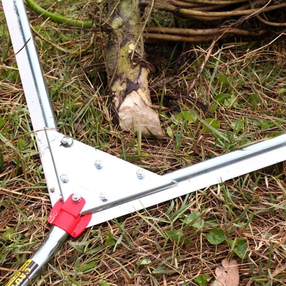 weed Buy The Original Z THCa Flower Strain Online for Sale | Hemp Hop