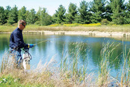 Algae & Weed Control