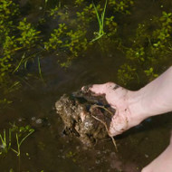 What Is Muck and Why Do I Have It?
