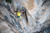 SALEWA Hot G3 Screw Carabiner SALEWA Hot G3 Screw Carabiner