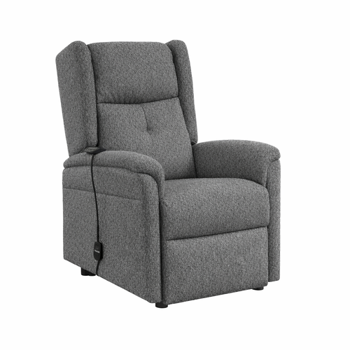 Botany Lift Chair Dual Motor