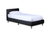 Royale Multi-Motion Companion Bed Base