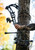 Elite Artus, RH, 70#, Slate Grey Elite Artus, RH, 70#, Slate Grey