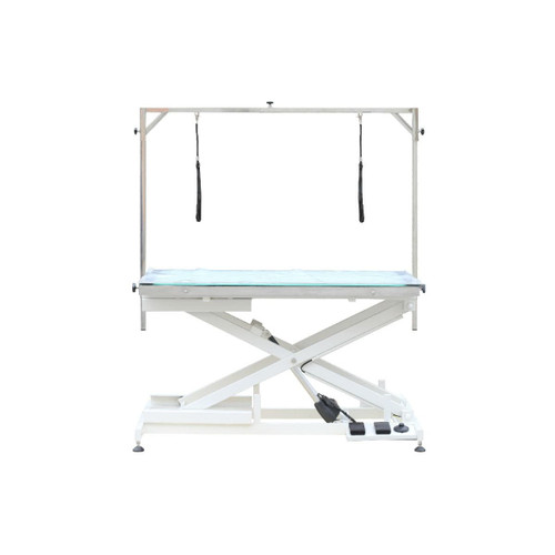 LED Lighted Electric Table - 48" Pet-Agree Premium