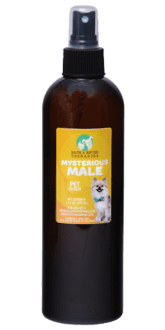 Bath And Brush Mysterious Male - 4.5 oz