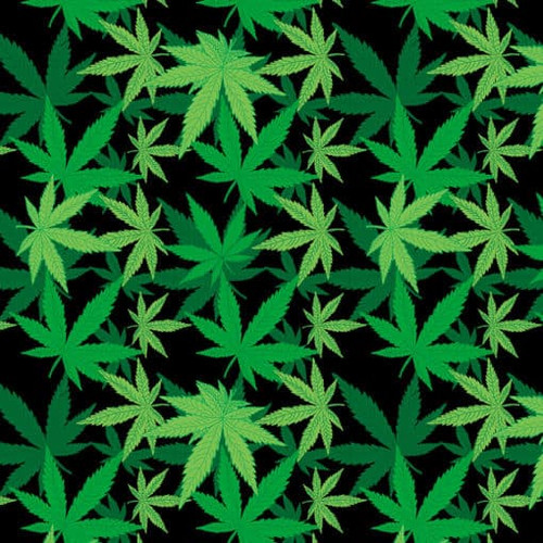 Bandanna Cannabis