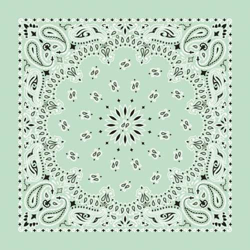 Bandanna Mint Paisley