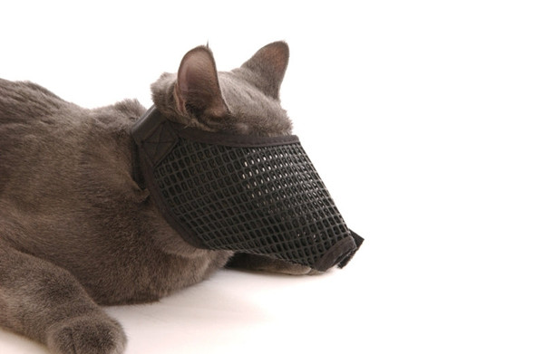 Muzzles Mesh Cat  - Medium