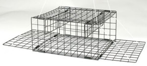 FJN  SNAP TRAP 10.5 X 10.5 X 5  (225-CT)