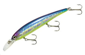 BDT WLY SHALLOW -BLUE SHINER (BDTWBS101) BDT WLY SHALLOW -BLUE SHINER (BDTWBS101)