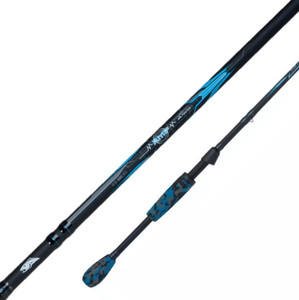 BERKLEY AMP SALTWATER SPINNING (BSASALT)