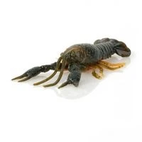 SAVAGE GEAR TOUGHTEC TOAD (SG-TOUGHTEC)