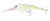 NOMAD DTX MINNOW (DTX)