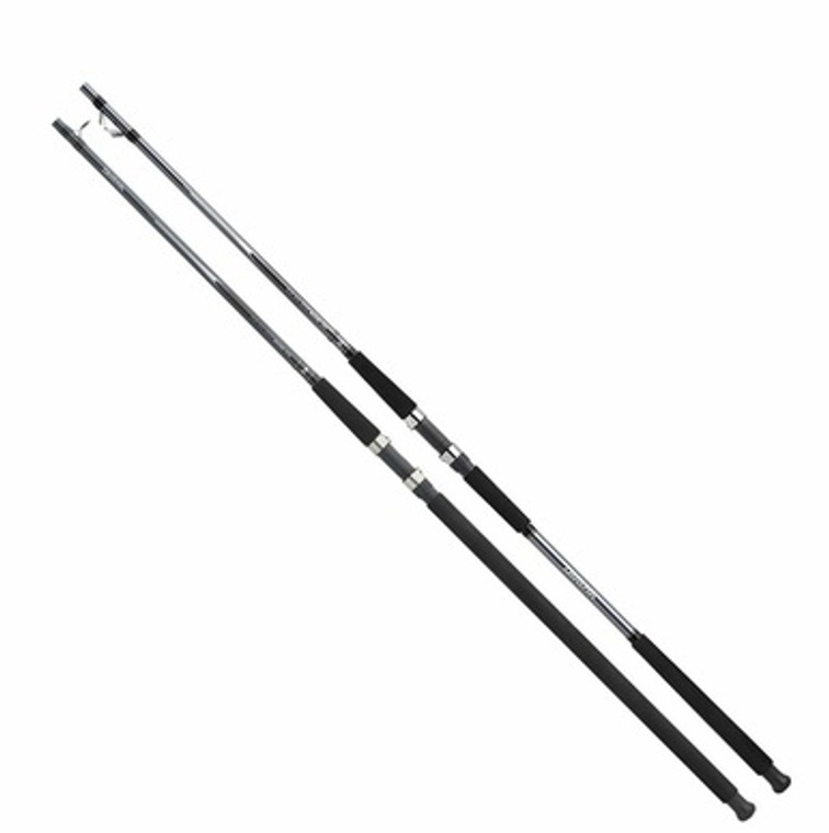 DAIWA SEALINE-A SURF ROD (SLSA1)