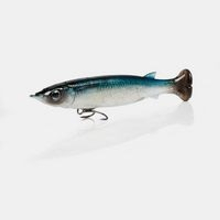 SAVAGE GEAR PULSE TAIL BALLYHO (32)