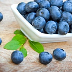 Blueberry (Wild) TFA