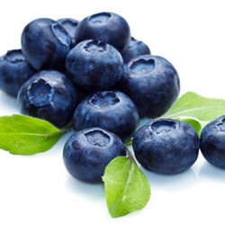 BlueBerry (Extra) TFA