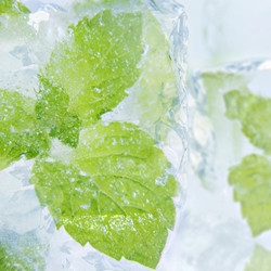 Menthol Liquid* (PG) TFA