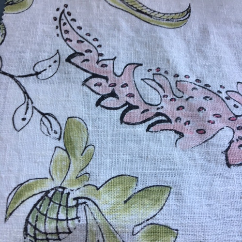 African Jacobean  - Pink