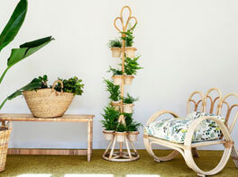 Cape Weaver Rattan Collection