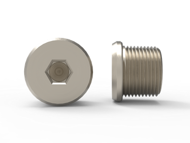 Socket Plug Stopper HEX SOCKET STOPPING PLUG TYPE A BRASS M16 (Case Qty 135)