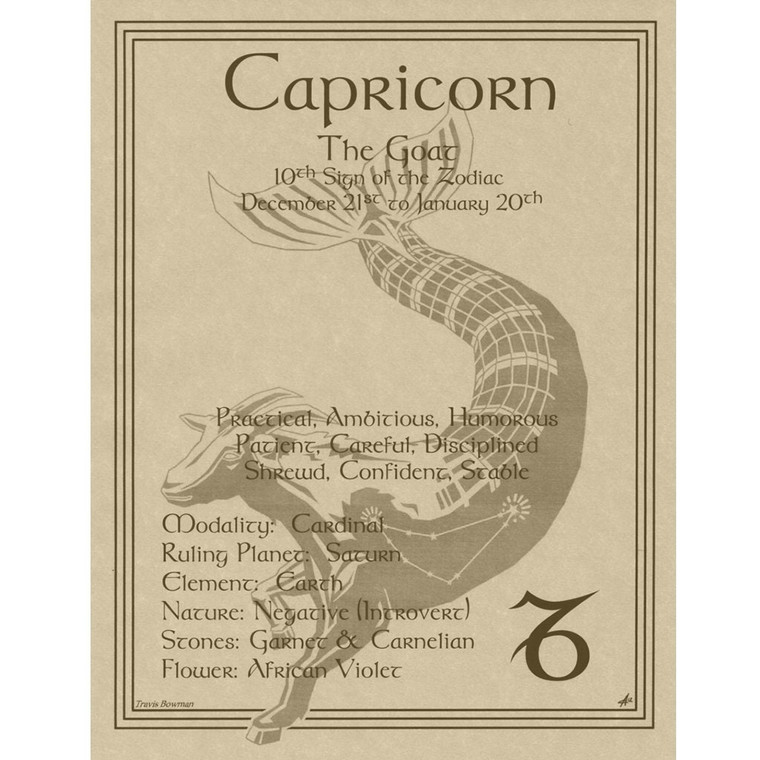 Capricorn Zodiac Poster