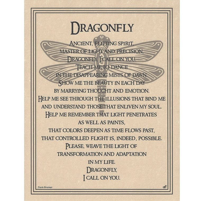 Dragonfly Poster