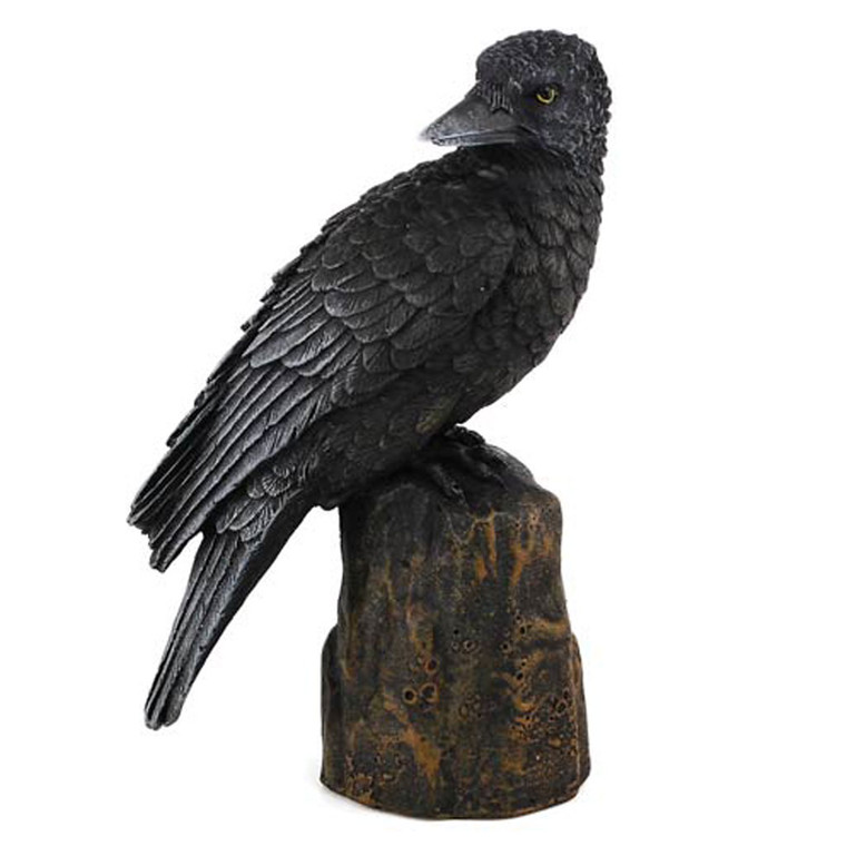 Backward Facing Raven Statue