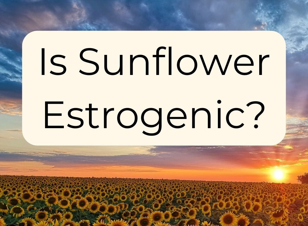 Is Sunflower Estrogenic? Bubble and Bee Organic