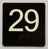 29 Sign with Raised Letters Braille Sign