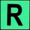 PHOTOLUMINESCENT DOOR NUMBER R BUILDING SIGN PHOTOLUMINESCENT DOOR NUMBER R BUILDING SIGN