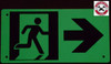 PHOTOLUMINESCENT EXIT DOB SIGN HEAVY DUTY / GLOW IN THE DARK "EXIT" DOB SIGN HEAVY DUTY PHOTOLUMINESCENT EXIT DOB SIGN HEAVY DUTY / GLOW IN THE DARK "EXIT" DOB SIGN HEAVY DUTY