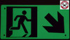 PHOTOLUMINESCENT EXIT DOB SIGN HEAVY DUTY / GLOW IN THE DARK "EXIT" DOB SIGN HEAVY DUTY PHOTOLUMINESCENT EXIT DOB SIGN HEAVY DUTY / GLOW IN THE DARK "EXIT" DOB SIGN HEAVY DUTY