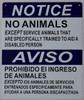 Notice NO Animals Allowed Service Animals ONLY Sign with English & Spanish Text Sign Notice NO Animals Allowed Service Animals ONLY Sign with English & Spanish Text Sign