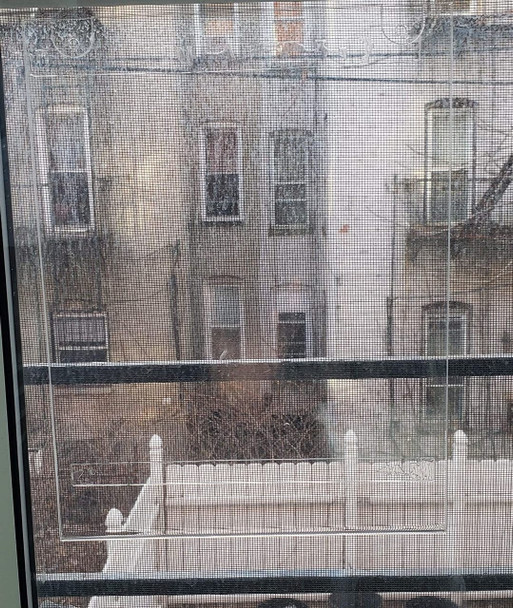 NYC Restaurant Letter Grade Frame