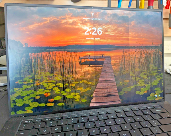 Dell XPS 15 9530 LCD Non Touch Screen Assembly FHD 169WD R1 L10 Screen Defect