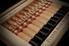 Arturo Fuente Don Carlos Edicion de Aniversario Double Robusto