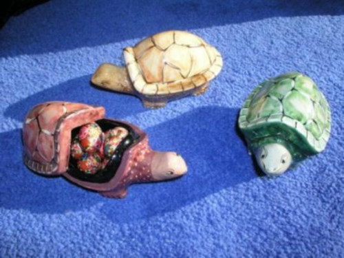 Turtle boxes PMTUT