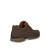 Ecco Men's Rugged Track Plain Toe Waterproof Shoe Camel