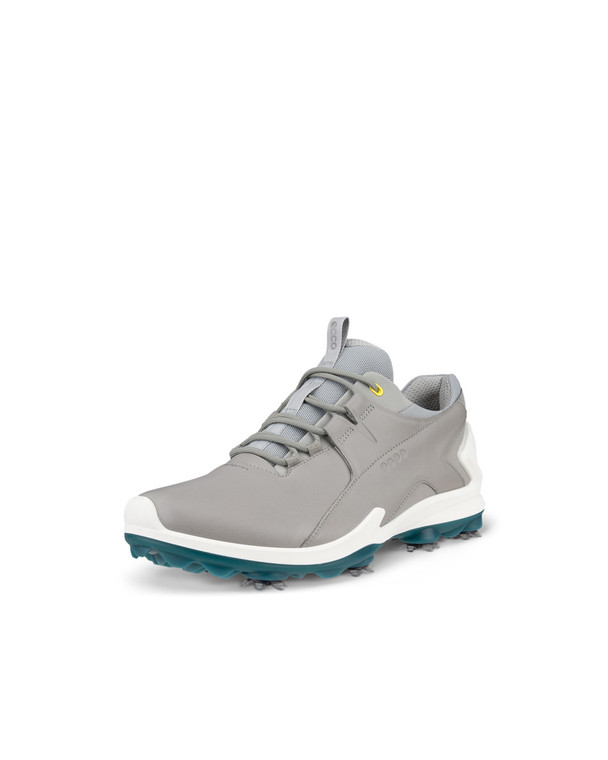 Ecco Mens Biom Tour Golf Shoes Wild Dove